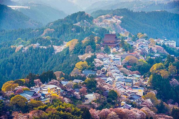 Gojo 重要文化財　賀名生旧皇居ヴィラ エクステリア 写真